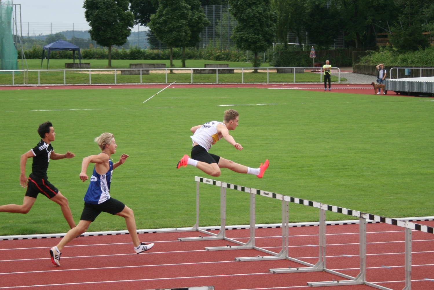 IMG Hürden